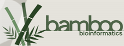 Bamboo website