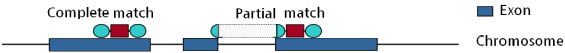 PST matching types - 5.2 ko