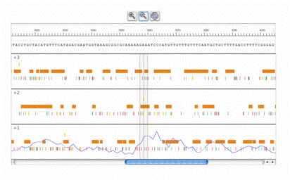 Cartographic display of the results of the gene finding strategy - 20.8 ko
